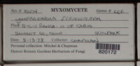 Image Associated With the Occurence